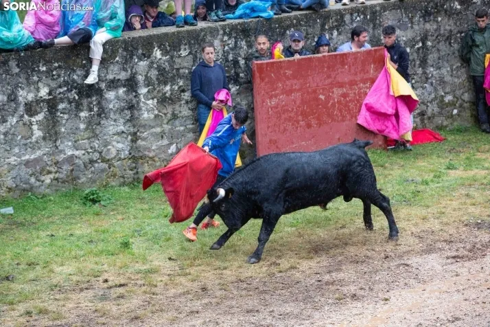 Lluvioso Lavalenguas 2024