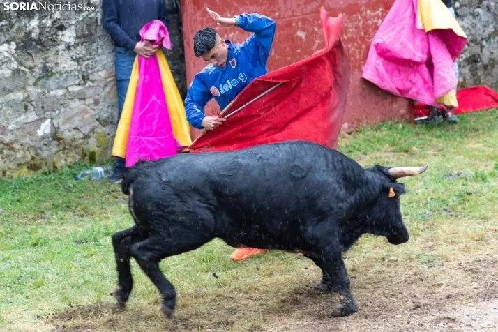 Lluvioso Lavalenguas 2024