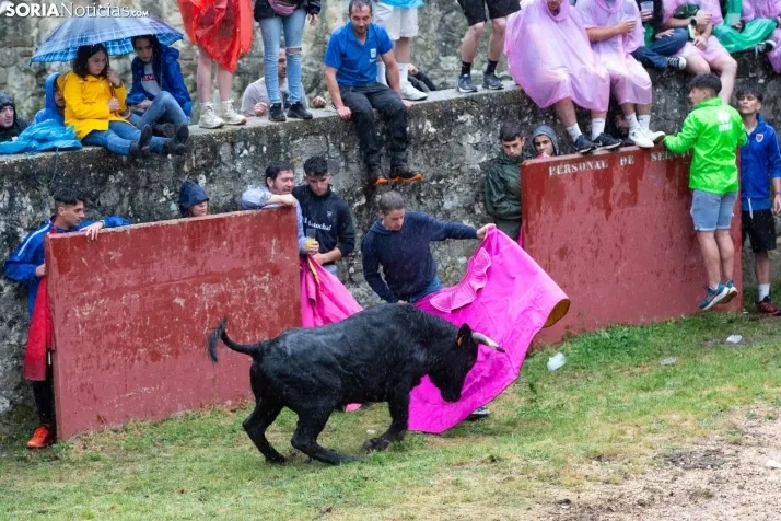 Lluvioso Lavalenguas 2024
