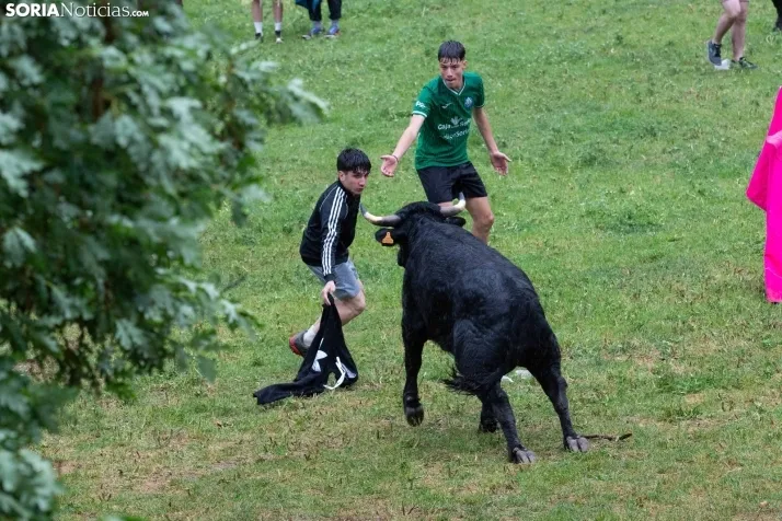Lluvioso Lavalenguas 2024