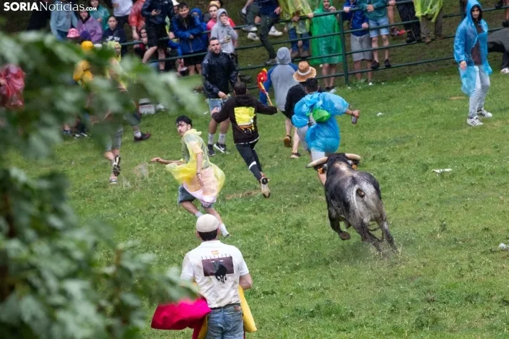 Lluvioso Lavalenguas 2024