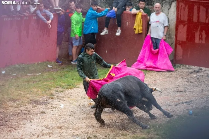 Lluvioso Lavalenguas 2024