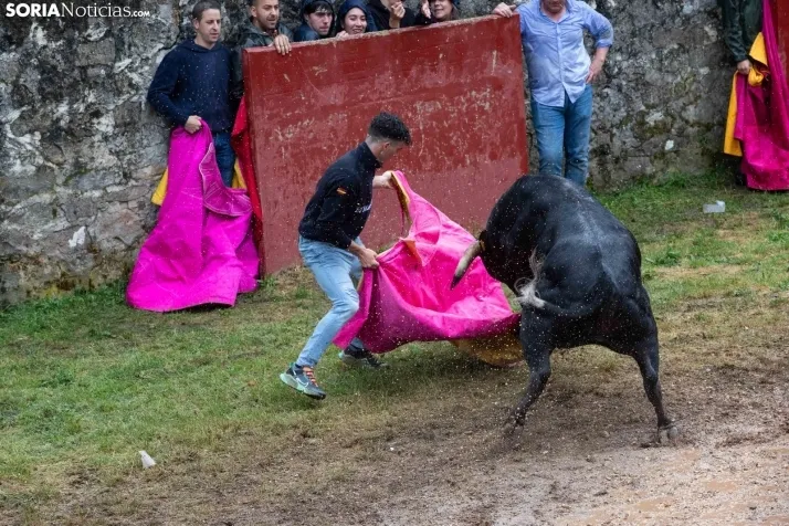 Lluvioso Lavalenguas 2024