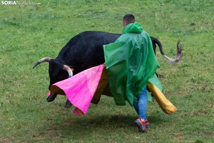 Lluvioso Lavalenguas 2024