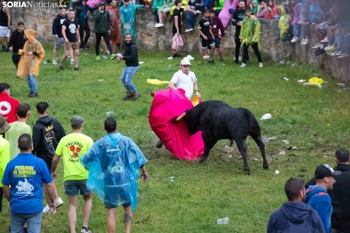 Lluvioso Lavalenguas 2024