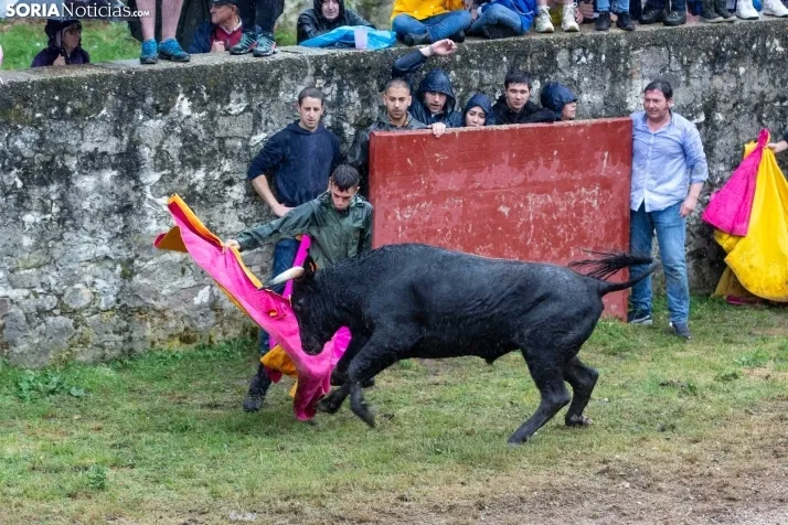 Lluvioso Lavalenguas 2024