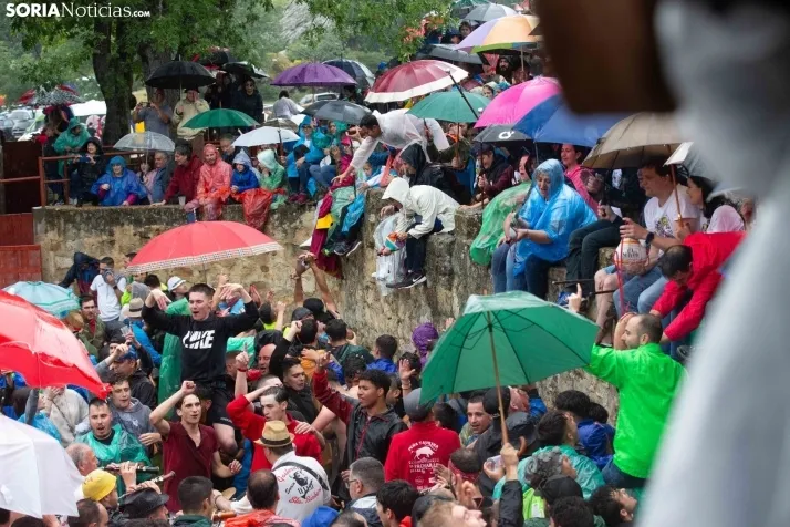 Lluvioso Lavalenguas 2024