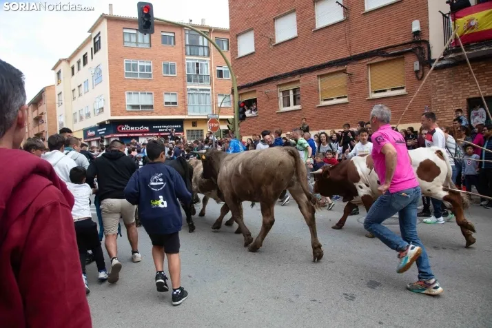 En im&aacute;genes: Los m&aacute;s peque&ntilde;os de Soria tambi&eacute;n se atreven con los encierros
