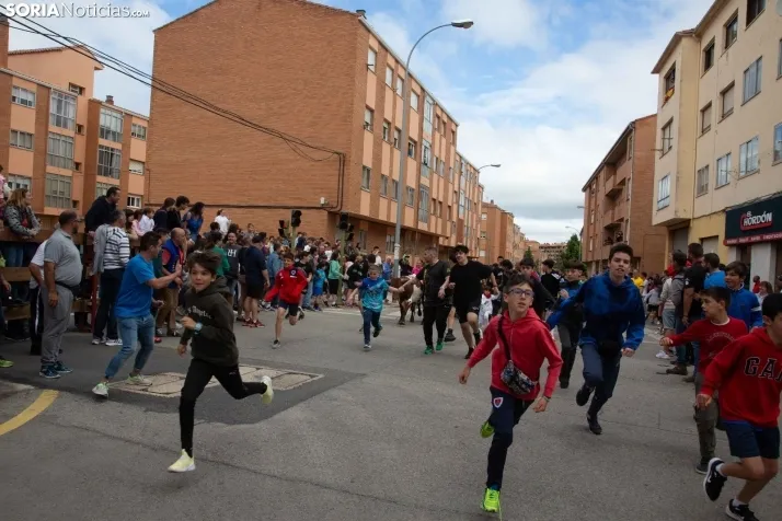 En im&aacute;genes: Los m&aacute;s peque&ntilde;os de Soria tambi&eacute;n se atreven con los encierros