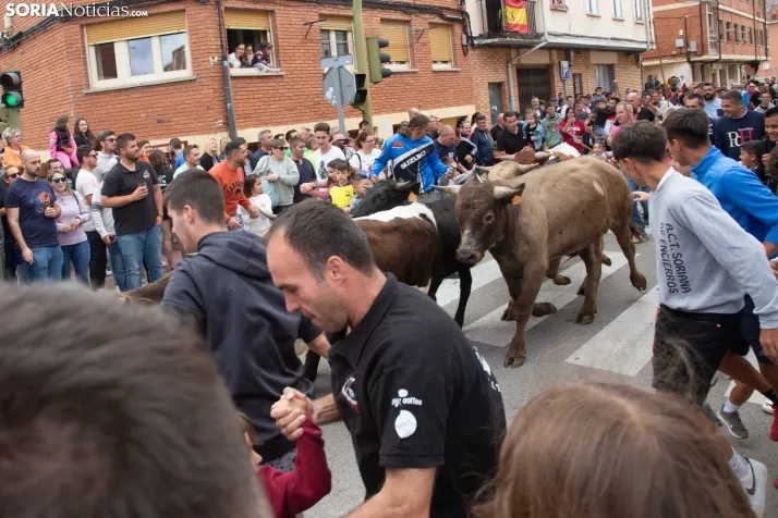 En im&aacute;genes: Los m&aacute;s peque&ntilde;os de Soria tambi&eacute;n se atreven con los encierros