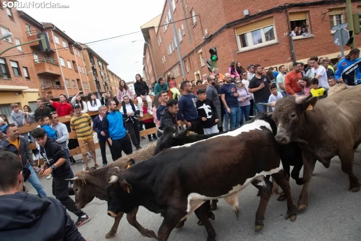 En im&aacute;genes: Los m&aacute;s peque&ntilde;os de Soria tambi&eacute;n se atreven con los encierros