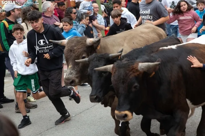 En im&aacute;genes: Los m&aacute;s peque&ntilde;os de Soria tambi&eacute;n se atreven con los encierros