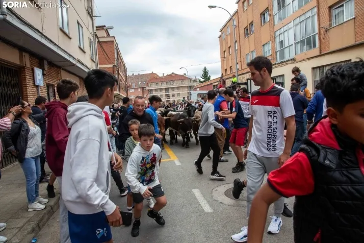En im&aacute;genes: Los m&aacute;s peque&ntilde;os de Soria tambi&eacute;n se atreven con los encierros