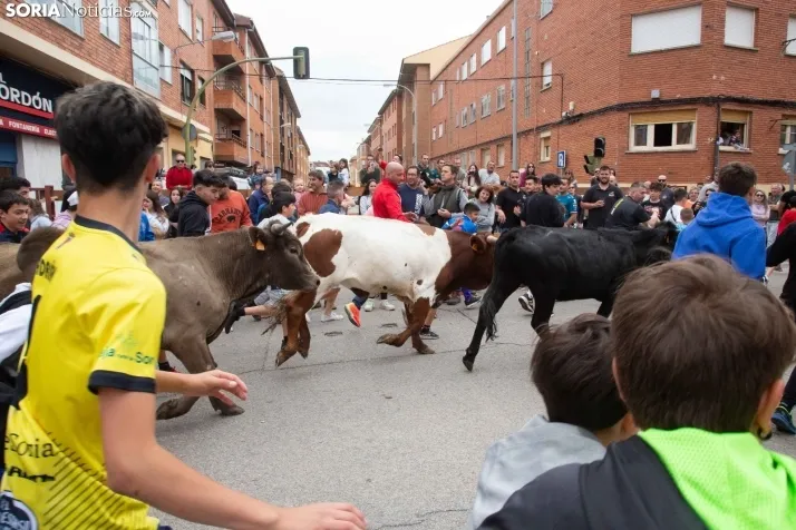 En im&aacute;genes: Los m&aacute;s peque&ntilde;os de Soria tambi&eacute;n se atreven con los encierros