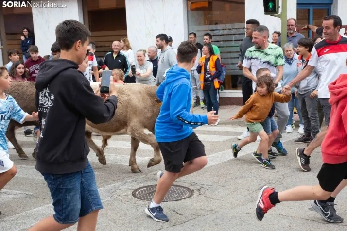 En im&aacute;genes: Los m&aacute;s peque&ntilde;os de Soria tambi&eacute;n se atreven con los encierros