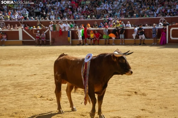Viernes de Toros 2024