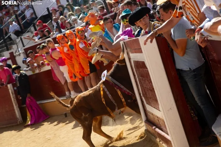Viernes de Toros 2024