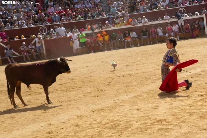 Viernes de Toros 2024