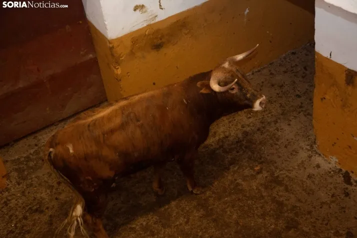 Viernes de Toros 2024