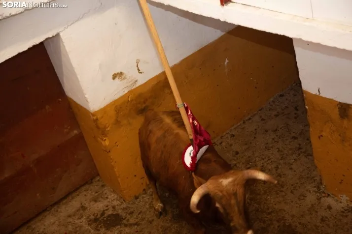 Viernes de Toros 2024