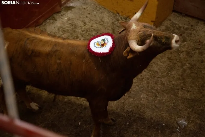 Viernes de Toros 2024