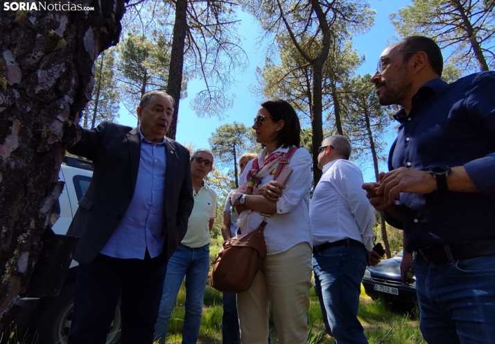 El PSOE ve la bioeconomía forestal como una oportunidad contra el reto demográfico