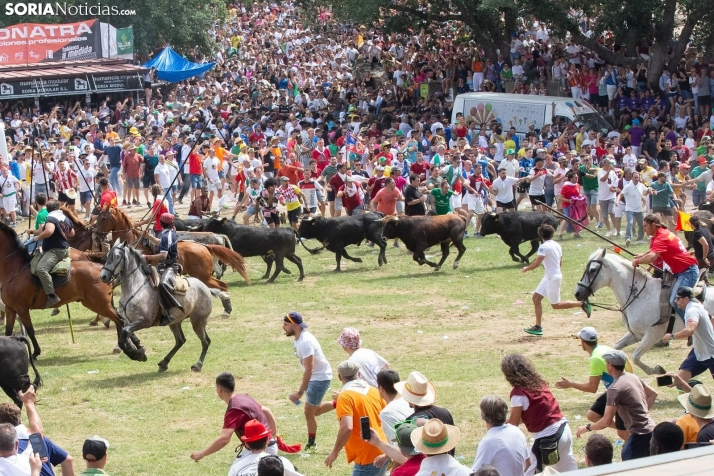 Directo | Revive La Saca 2024 minuto a minuto
