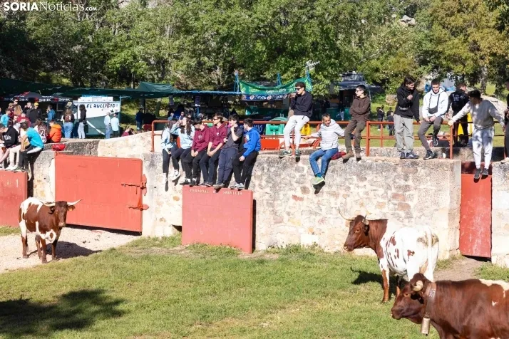 GALER&Iacute;A | Los toros m&aacute;s bravos que correr&aacute;n 'La Saca' 2024 llegan a Ca&ntilde;ada Honda