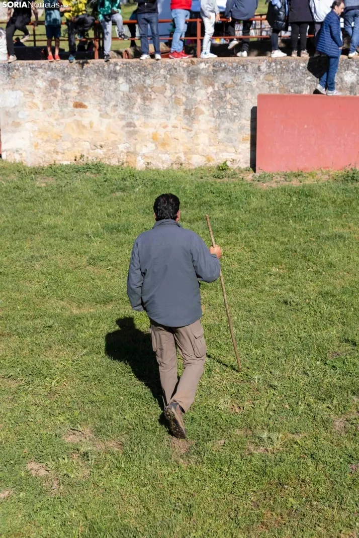 GALER&Iacute;A | Los toros m&aacute;s bravos que correr&aacute;n 'La Saca' 2024 llegan a Ca&ntilde;ada Honda