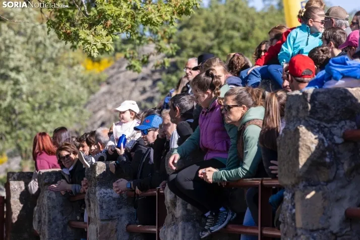 GALER&Iacute;A | Los toros m&aacute;s bravos que correr&aacute;n 'La Saca' 2024 llegan a Ca&ntilde;ada Honda