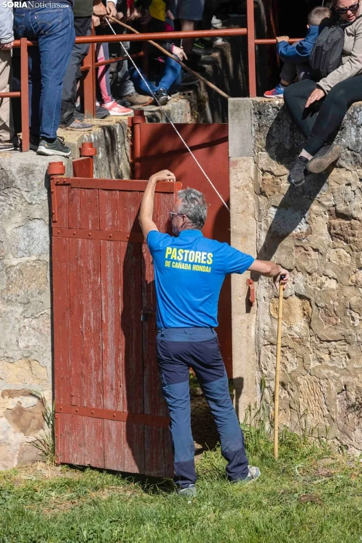 GALER&Iacute;A | Los toros m&aacute;s bravos que correr&aacute;n 'La Saca' 2024 llegan a Ca&ntilde;ada Honda