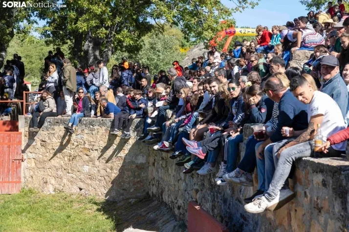 GALER&Iacute;A | Los toros m&aacute;s bravos que correr&aacute;n 'La Saca' 2024 llegan a Ca&ntilde;ada Honda