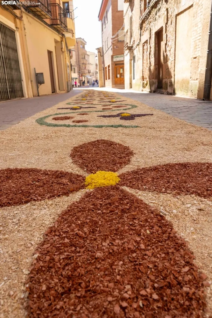 EN FOTOS | Las alfombras florales decoran las calles de San Esteban por el Corpus Christi