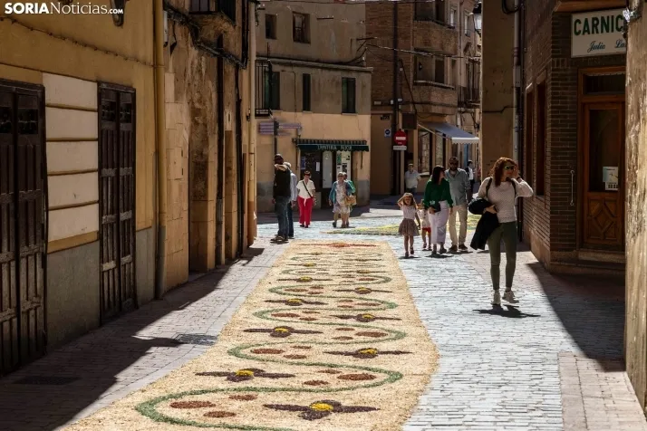 EN FOTOS | Las alfombras florales decoran las calles de San Esteban por el Corpus Christi