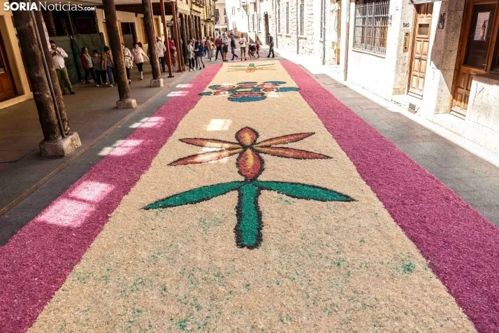 EN FOTOS | El Burgo de Osma se llena de color e ilusi&oacute;n en la procesi&oacute;n del Corpus Christi