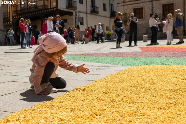 EN FOTOS | El Burgo de Osma se llena de color e ilusi&oacute;n en la procesi&oacute;n del Corpus Christi