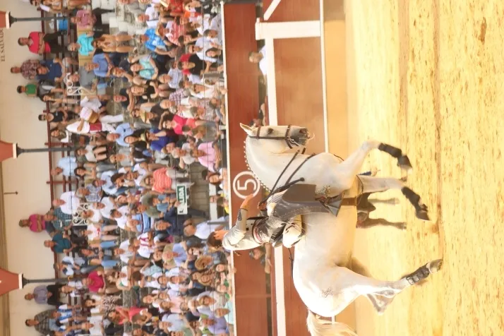Una imagen del festejo de esta tarde. /Santos Gómez