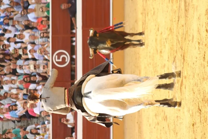 Una imagen del festejo de esta tarde. /Santos Gómez