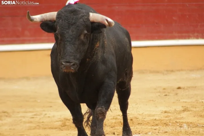Toros del Sábado Agés.