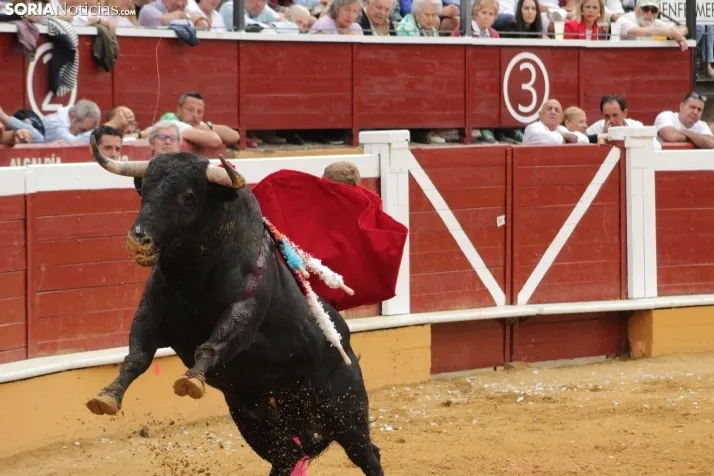 Toros del Sábado Agés. 