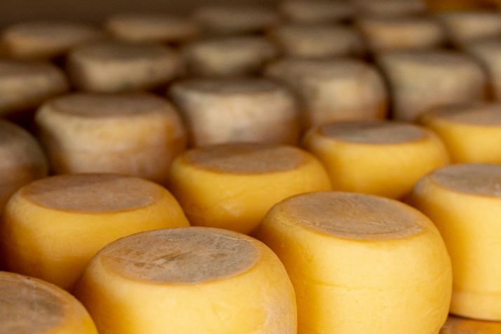 Esta es la estrategia de Castilla y León para crear un queso diferenciado y singular