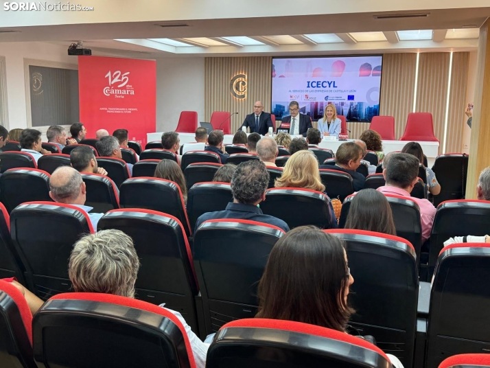 Los apoyos de la Junta a las empresas de Soria han inducido más de 200M€ de inversión