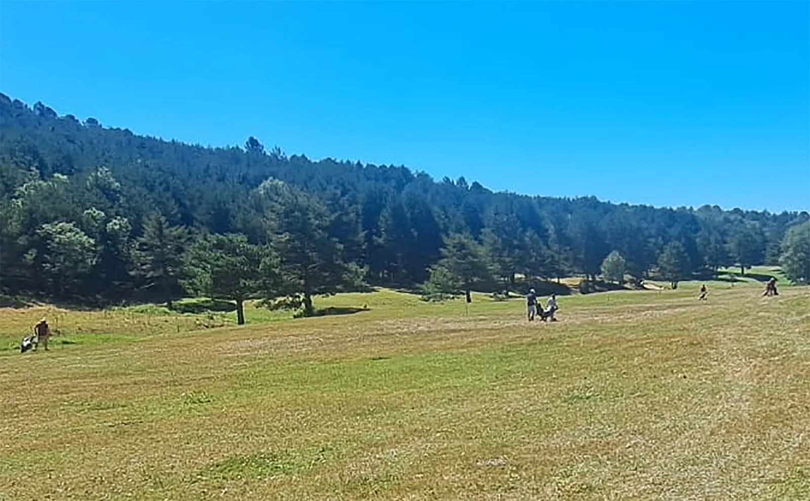 Una imagen de la Dehesa de Navagrulla este domingo. 