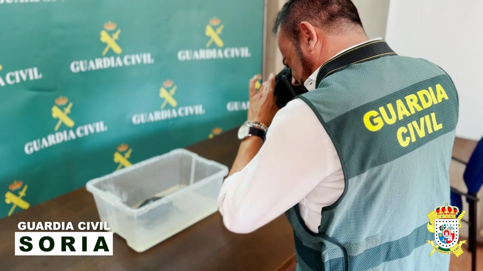 Foto 2 - La Guardia Civil rescata una tortuga ex&oacute;tica abandonada en un domicilio de Soria