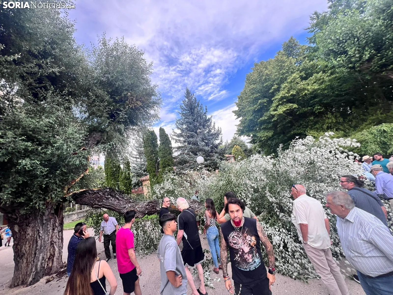 Foto 2 - Tremendo susto en la Dehesa tras la rotura de la rama de un &aacute;rbol en medio del parque