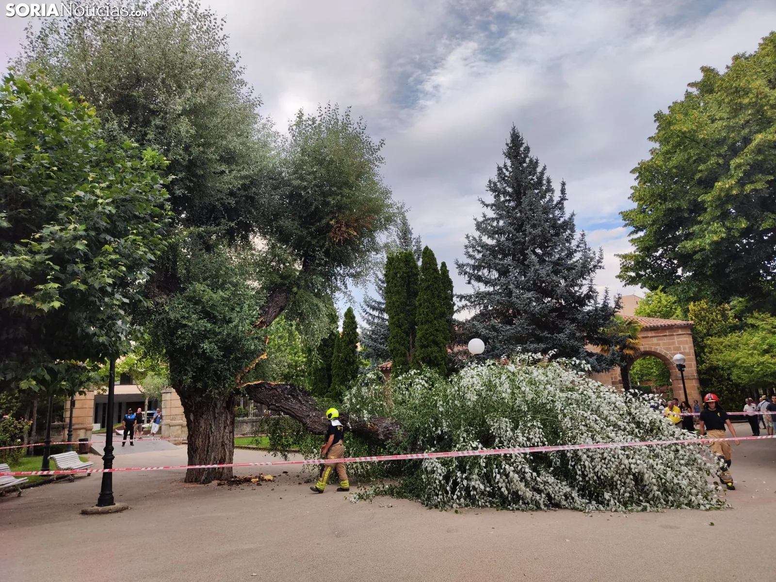 Foto 9 - Tremendo susto en la Dehesa tras la rotura de la rama de un &aacute;rbol en medio del parque
