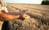 Foto 1 - ASAJA Soria enfría las previsiones de cosecha que maneja el Servicio Territorial de Agricultura