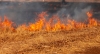Foto 1 - Extinguido un incendio de terreno agrícola en Navalcaballo
