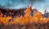 Foto 1 - Incendio en Almaluez