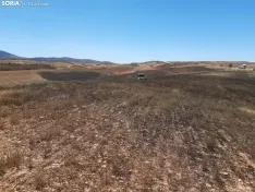 Una imagen del incendio. /SN
